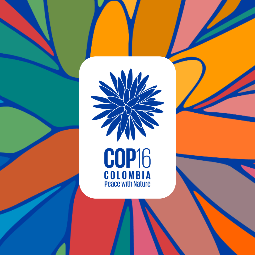 BioAgora to CoHost Side Events at the 2024 United Nations Conference for Biodiversity (COP16